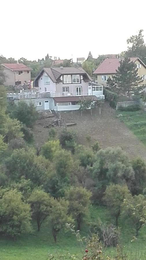 Panorama Apartman Molvice Dış mekan fotoğraf
