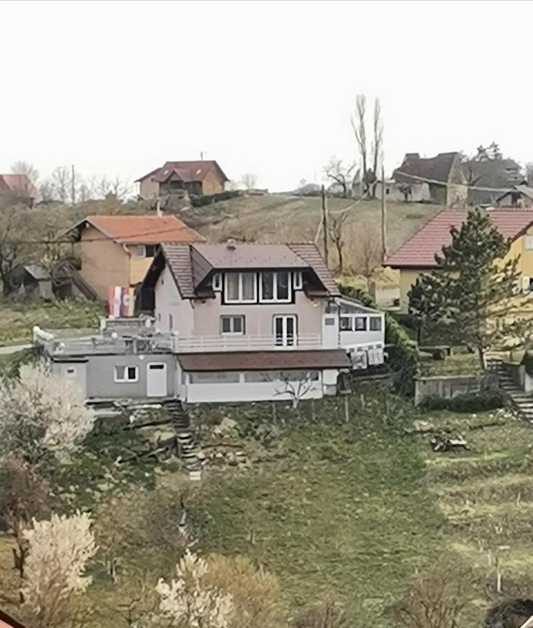 Panorama Apartman Molvice Dış mekan fotoğraf